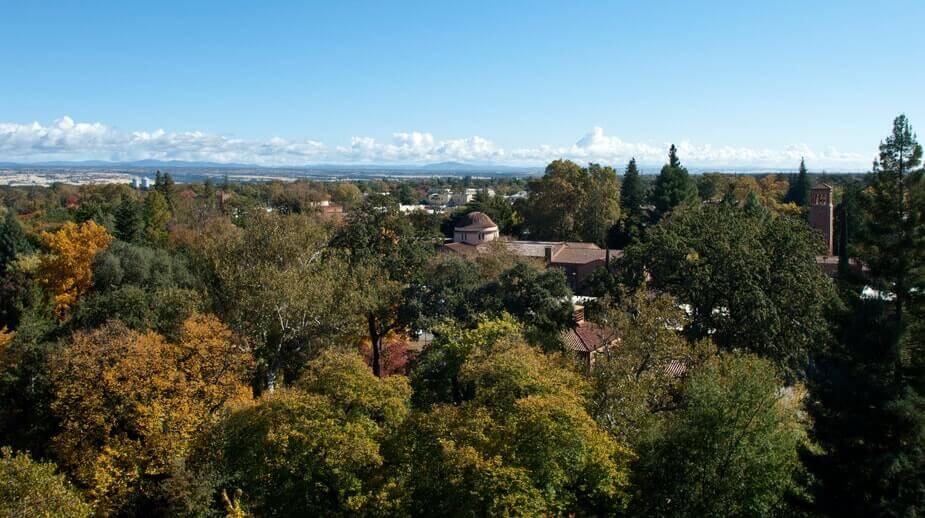 Aerial view of a suburban area amidst a dense, tree-filled landscape under a clear blue sky with distant mountains on the horizon.